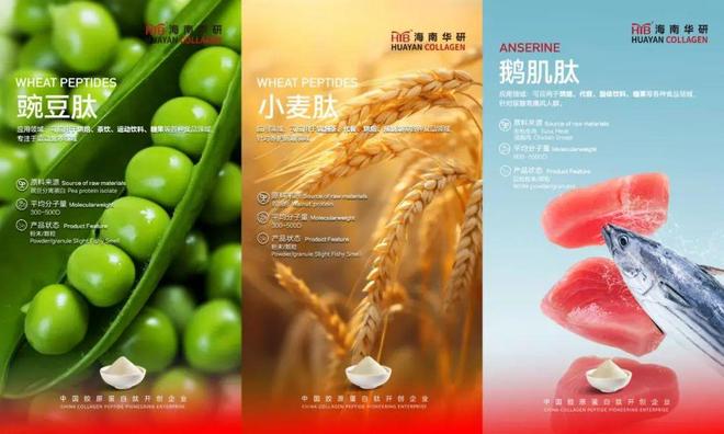 以自研技术驱动生物多肽功能营养多元化mg不朽情缘游戏登录入口海南华研：(图6)
