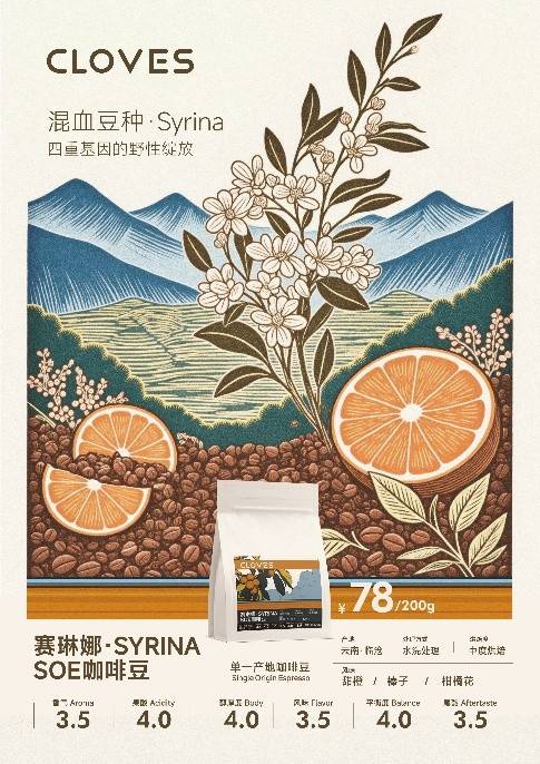 OVES赛琳娜·SYRINA邀你品鉴mg不朽情缘临沧的风土已酿成 CL(图1)